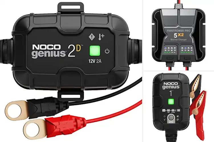 Detailed view of Best Boat Battery Maintainers