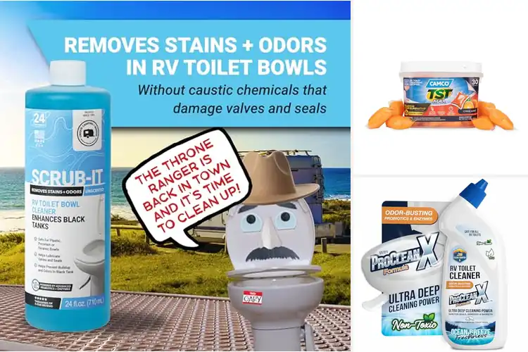 Detailed view of Best Camper Toilet Cleaners: Top Picks for Odor-Free Trips