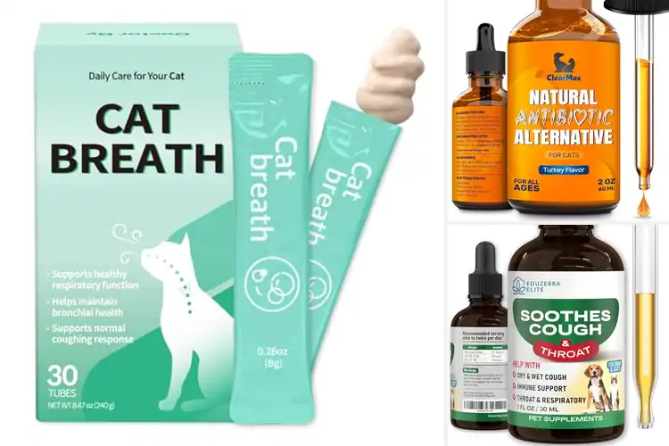 Detailed view of Best Cat Cough Treatments