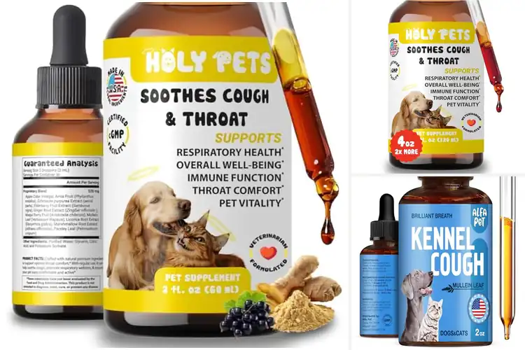 Detailed view of Best Cough Treatments for Pets: 10 Safe & Natural Remedies
