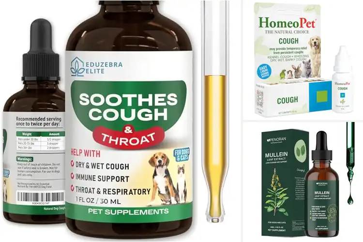 Detailed view of Best Dog Cat Cough Drops: Top 10 Fast Relief Remedies