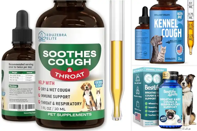 Detailed view of Best Dog Cough Remedies for Fast Relief