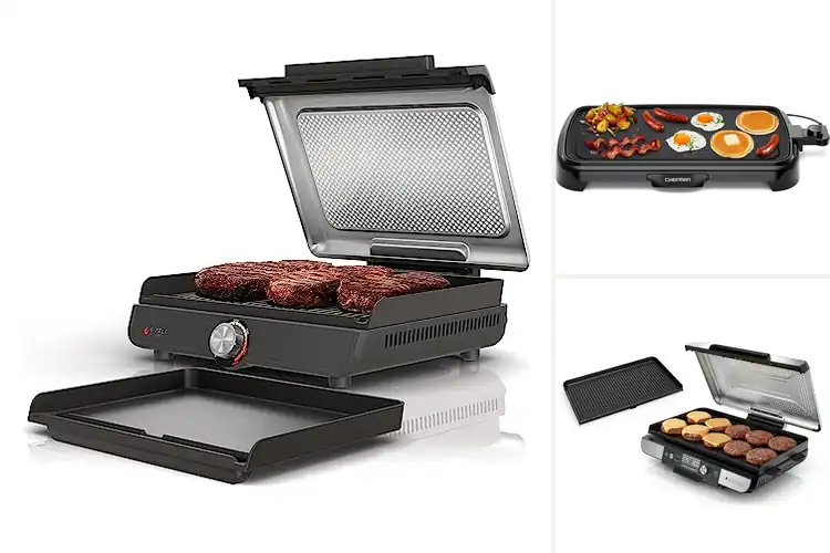 Detailed view of Best Electric Griddles for Steak