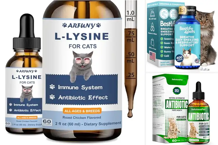 Detailed view of Best Feline Respiratory Supplements