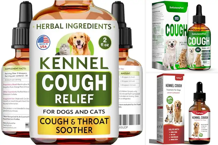Detailed view of Best Herbal Dog Cough Liquids: Gentle Relief for Pups