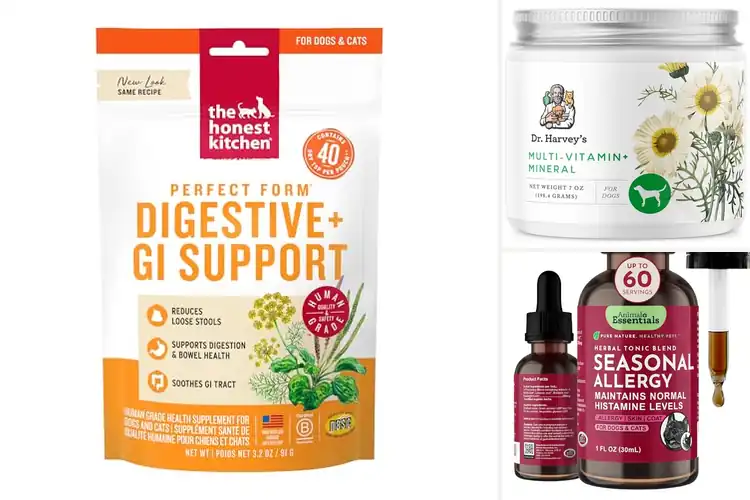 Detailed view of Best Herbal Pet Supplements