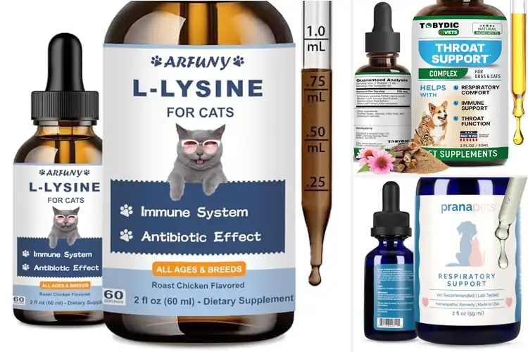 Detailed view of Best Herbal Respiratory Drops For Cats