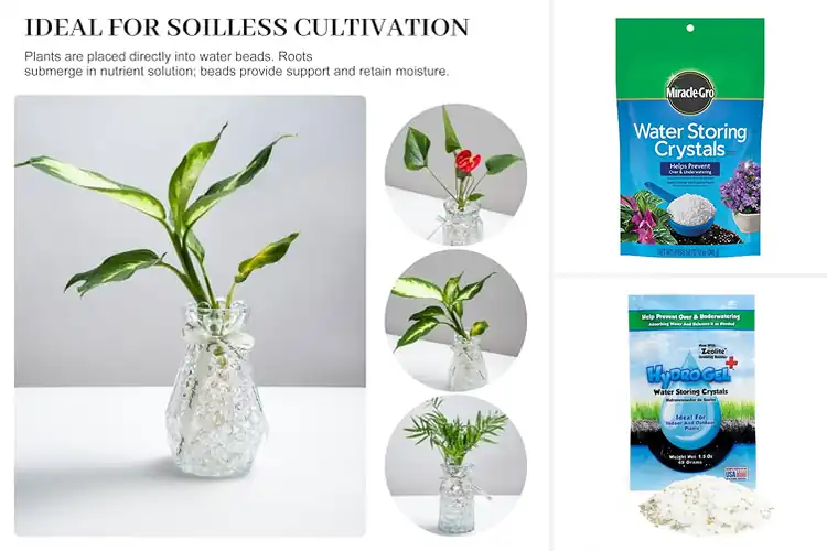 Detailed view of Best Horticultural Water Retention Additives