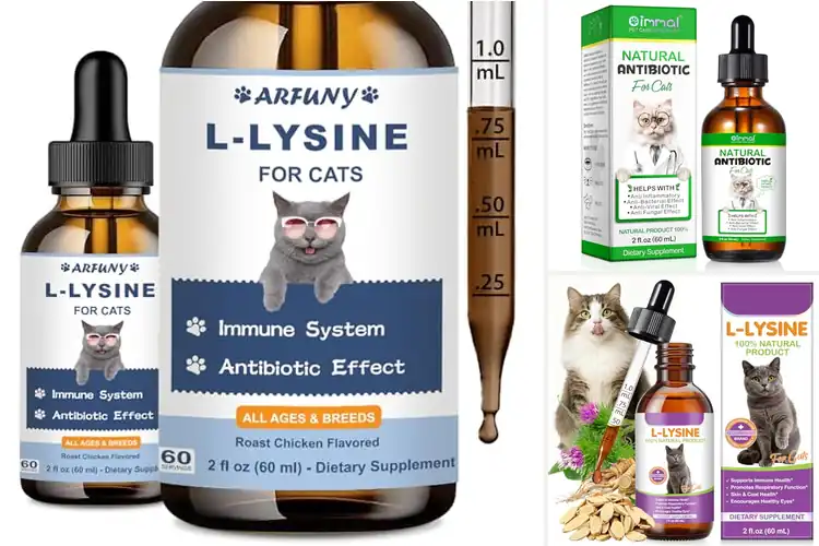 Detailed view of Best Immune Support Drops For Cats: Top 10 Natural Picks