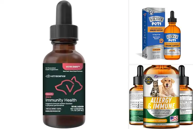 Detailed view of Best Immune Support Drops For Dogs: Top Natural Picks