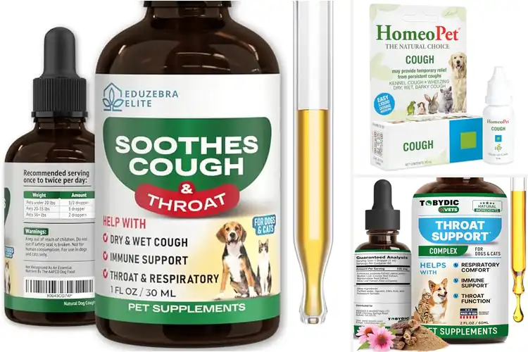 Detailed view of Best Kennel Cough Drops For Cats: Quick Relief Guide
