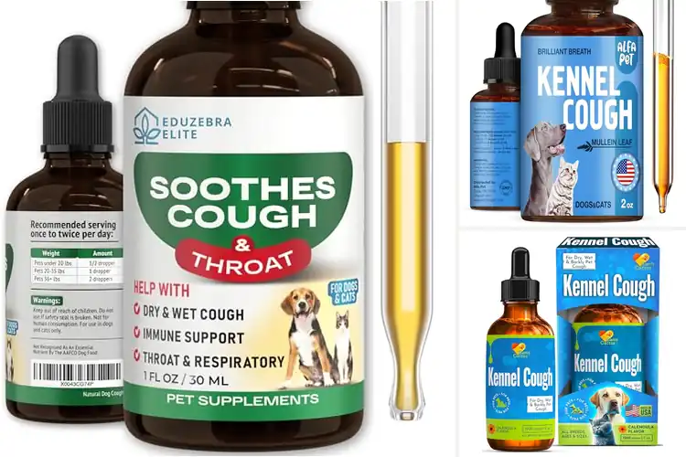 Detailed view of Best Kennel Cough Drops For Dogs