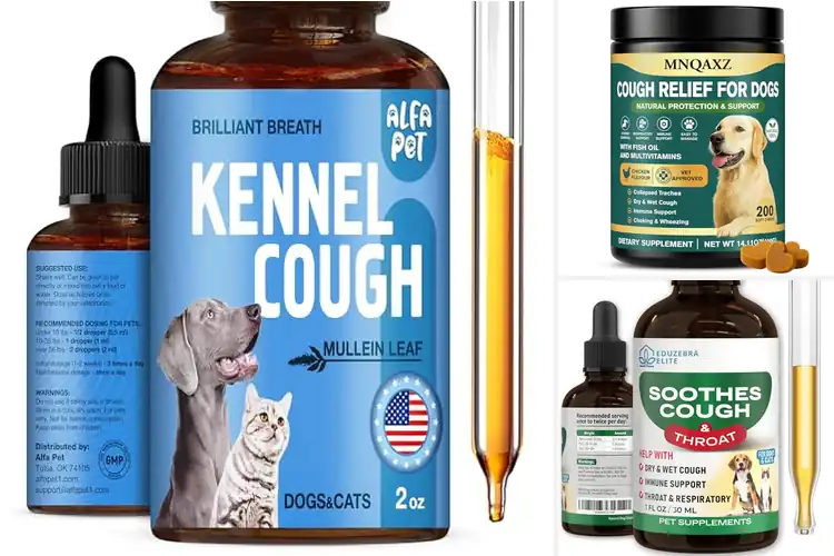Detailed view of Best Kennel Cough Treatments