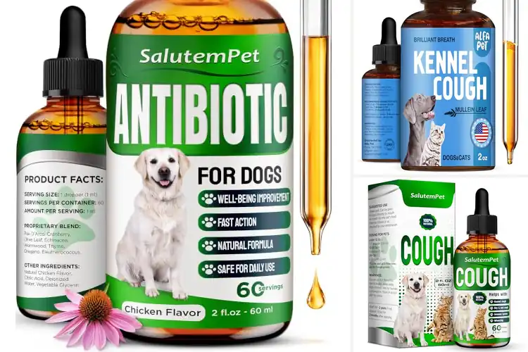 Detailed view of Best Liquid Cough Medicine For Large Dogs