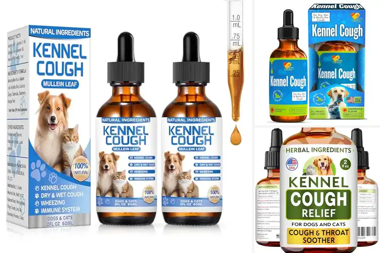 Detailed view of Best Liquid Cough Treatments