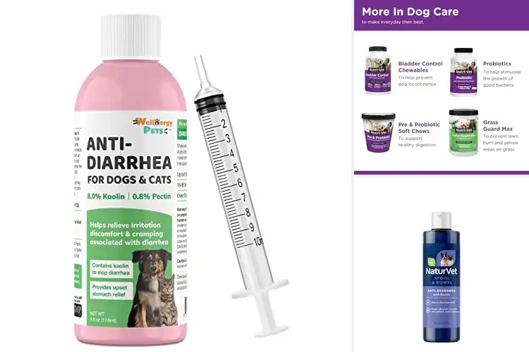 Detailed view of Best Liquid Pet Medications