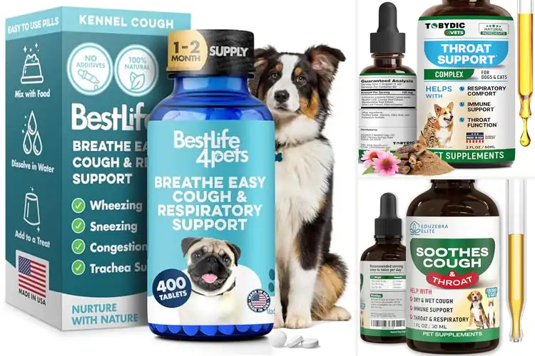 Detailed view of Best Natural Cough Relief For Pets: Top 10 Safe Remedies
