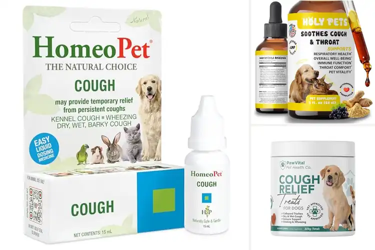 Detailed view of Best Natural Cough Remedies For Pets