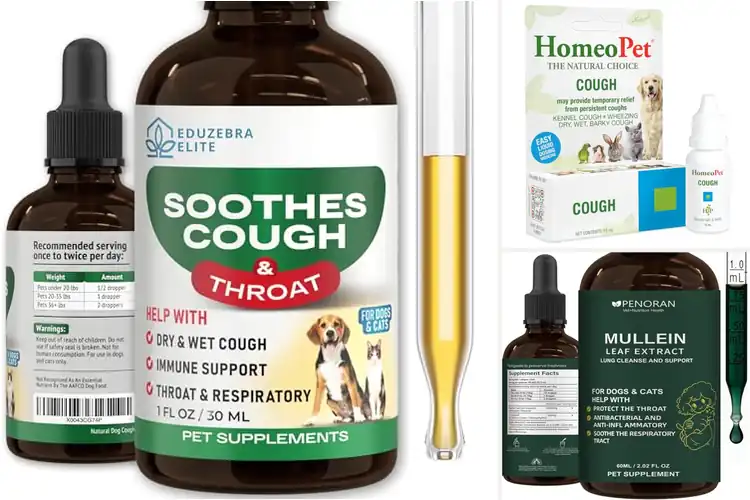 Detailed view of Best Natural Dog Cough Drops: Safe Relief Guide