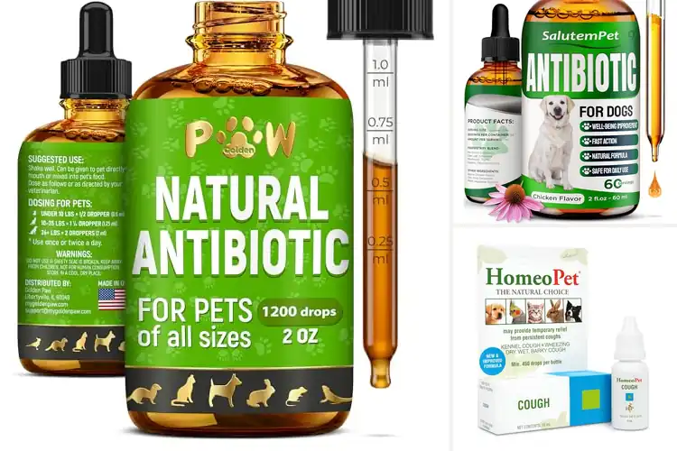 Detailed view of Best Natural Dog Cough Liquids