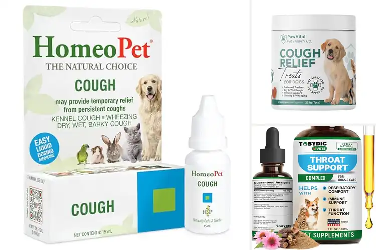 Detailed view of Best Natural Pet Cough Remedies: 10 Safe & Gentle Solutions