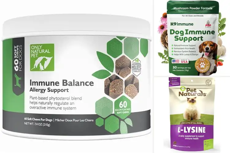 Detailed view of Best Natural Pet Immune Boosters