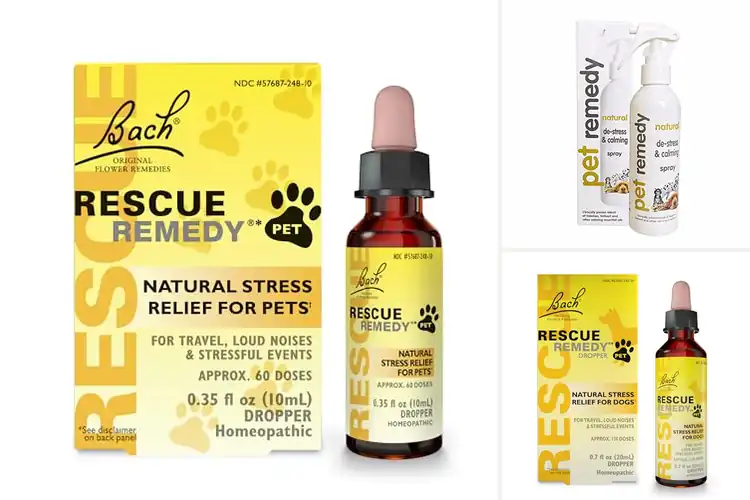 Detailed view of Best Natural Pet Remedies