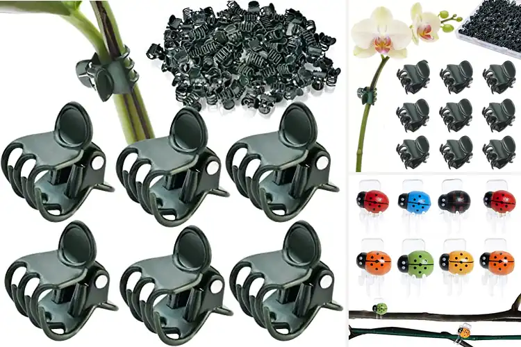 Detailed view of Best Orchid Support Clips for Healthy, Upright Orchids