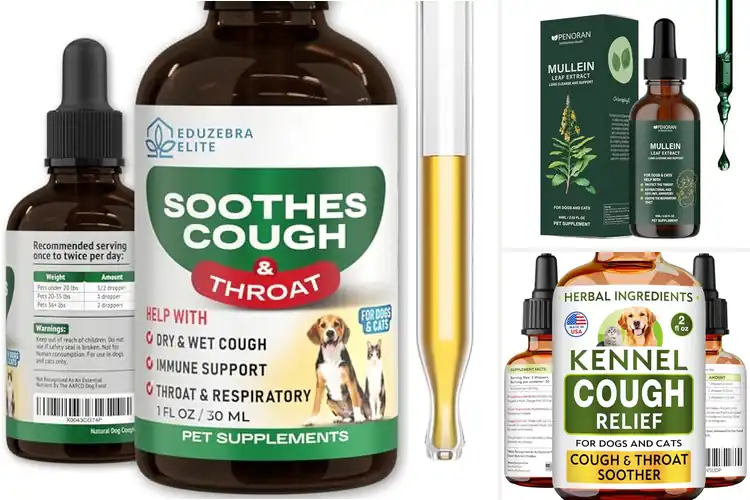 Detailed view of Best Pet Cough Drops: Top 10 Vet-Approved Natural Remedies