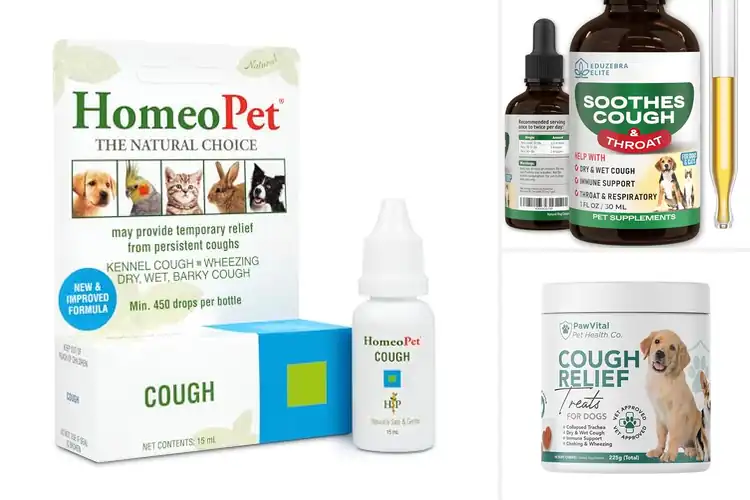 Detailed view of Best Pet Cough Medicines: 10 Top Remedies for Quick Relief