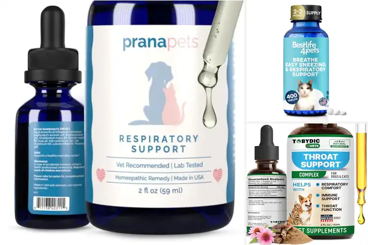 Detailed view of Best Pet Respiratory Supplements: 10 Natural Options