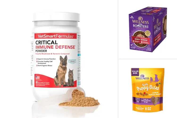 Detailed view of Best Pet Wellness Products to Boost Immunity & Digestion