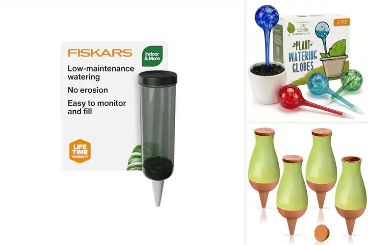 Detailed view of Best Plant Over-Watering Preventers