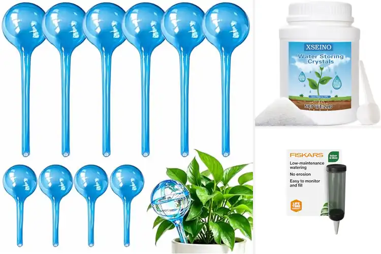 Detailed view of Best Plant Watering Media for Thriving Greens