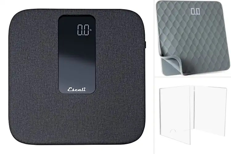 Detailed view of Best Removable Cover Scales