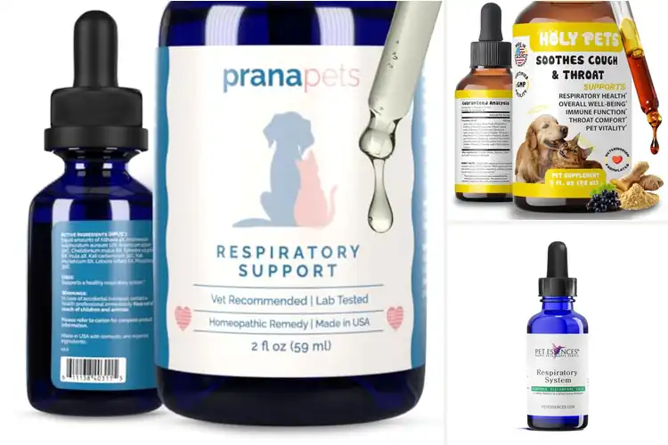 Detailed view of Best Respiratory Aids for Pets