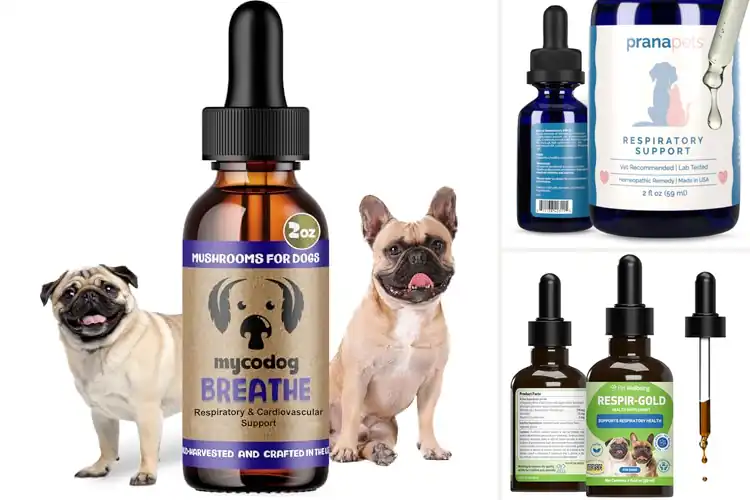 Detailed view of Best Respiratory Health Products For Pets