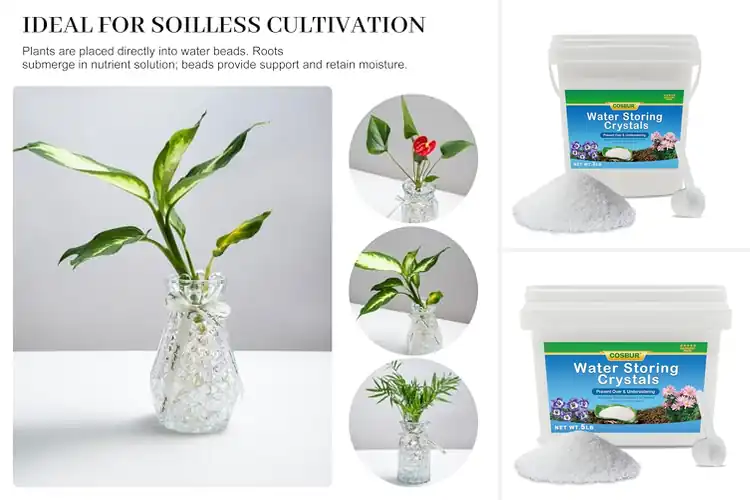 Detailed view of Best Soil Moisture Control Polymers