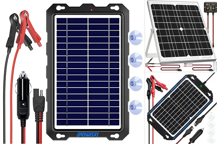 Detailed view of Best Solar Battery Maintainers