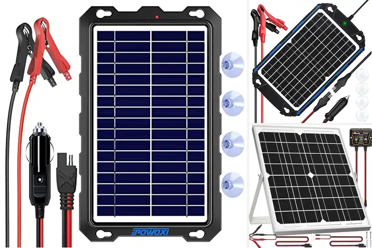 Detailed view of Best Solar Battery Trickle Chargers