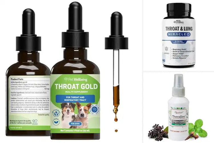 Detailed view of Best Throat Discomfort Supplements: 10 Fast Relief Picks