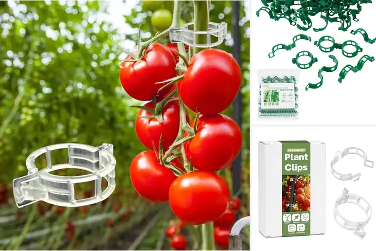 Detailed view of Best Tomato Clips: Boost Your Garden’s Health