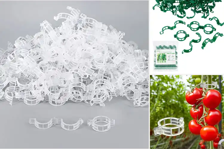 Detailed view of Best Trellis Clips