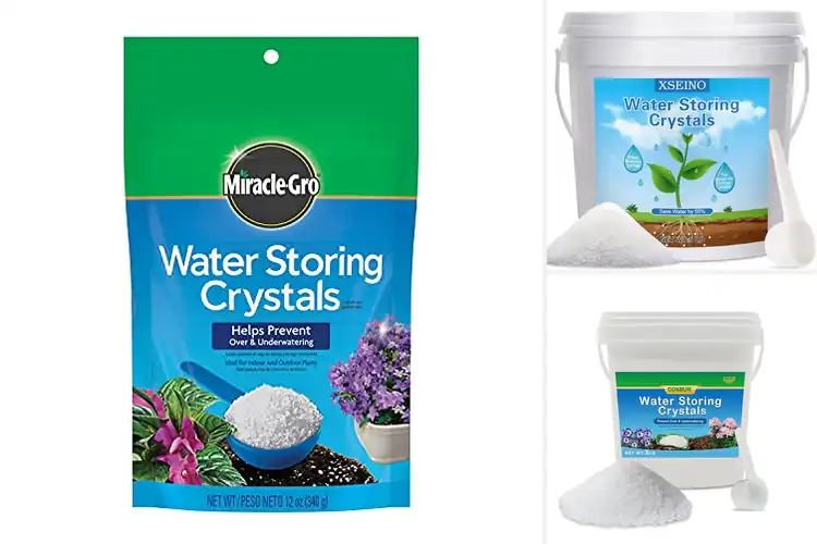 Detailed view of Best Water Storing Granules